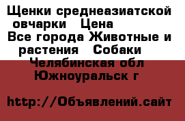 Щенки среднеазиатской овчарки › Цена ­ 20 000 - Все города Животные и растения » Собаки   . Челябинская обл.,Южноуральск г.